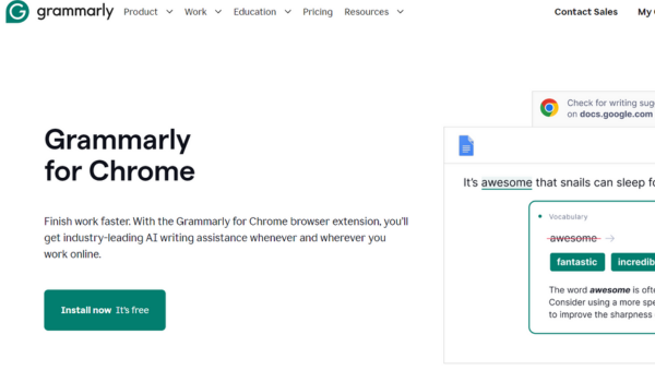 Grammarly Extension